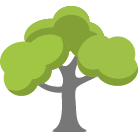 Nampa Tree Removal