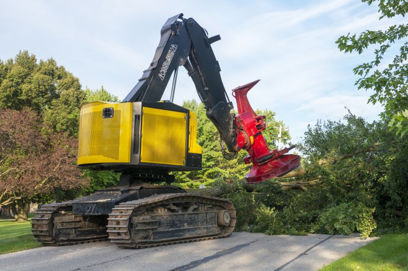 Large Tree Removal