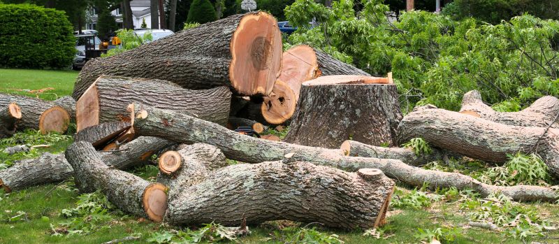 Property Clearing