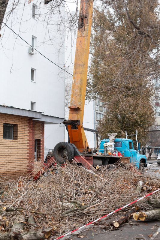 Tree Removal Service Truck